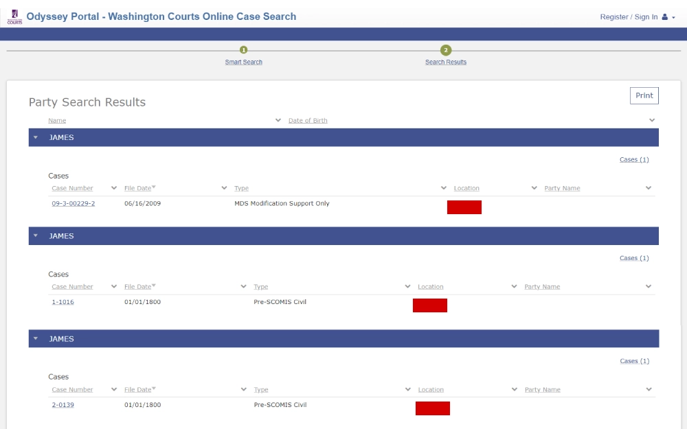 A screenshot displaying a Washington court online case smart search result showing information such as name, case number, file date, case type, location and party name from the Odyssey Portal Washington Courts Online Case Search website.