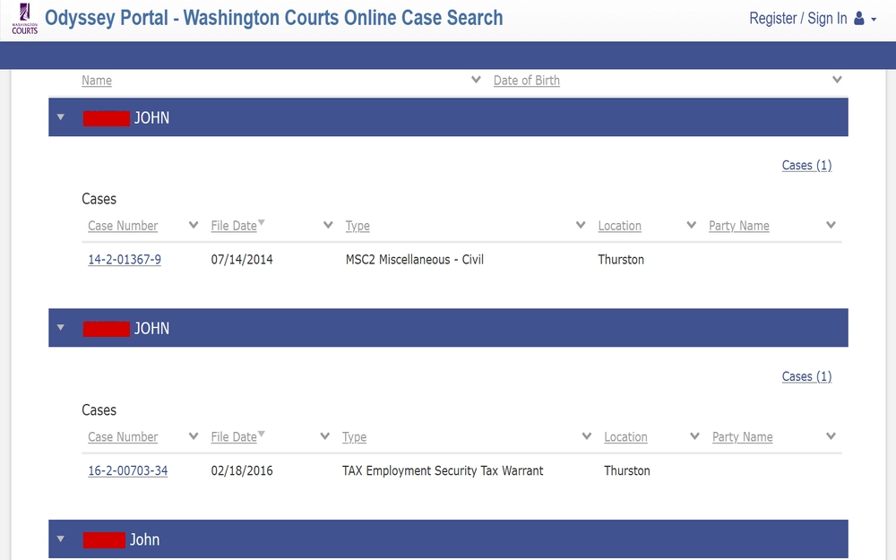 A screenshot displaying a Washington court online case smart search result showing information such as name, case number, file date, case type, location and party name from the Odyssey Portal Washington Courts Online Case Search website.